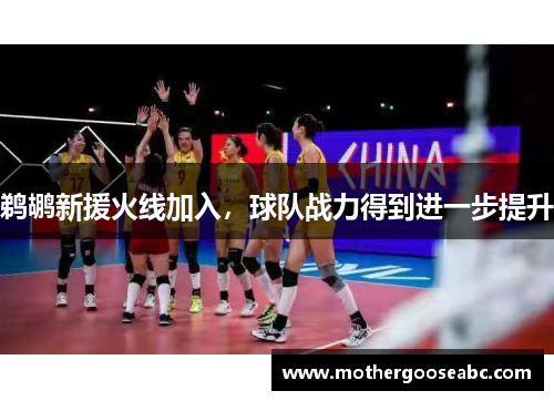 鹈鹕新援火线加入，球队战力得到进一步提升