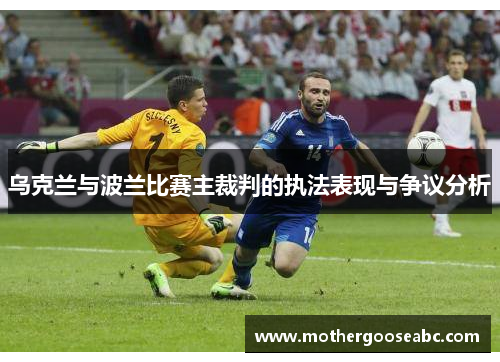 乌克兰与波兰比赛主裁判的执法表现与争议分析