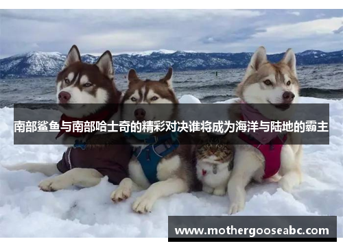南部鲨鱼与南部哈士奇的精彩对决谁将成为海洋与陆地的霸主