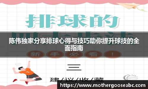 陈伟独家分享排球心得与技巧助你提升球技的全面指南